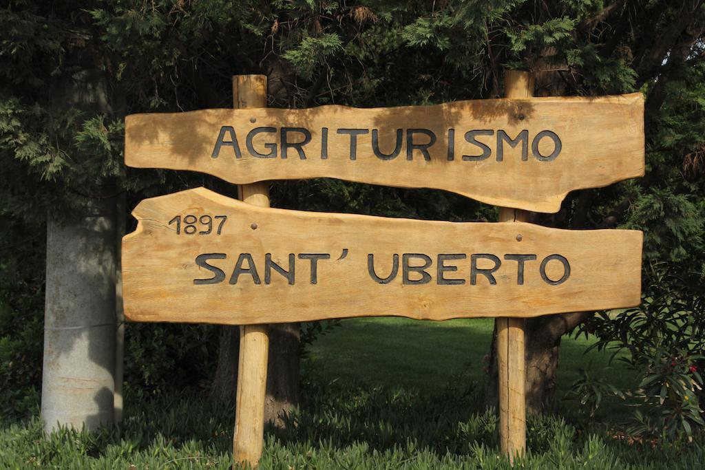 Agriturismo Sant'Uberto Bolgheri Exterior photo